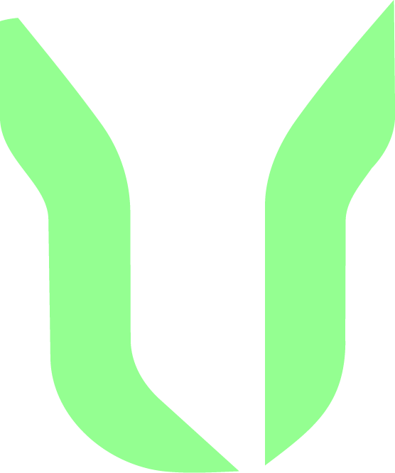 Turu